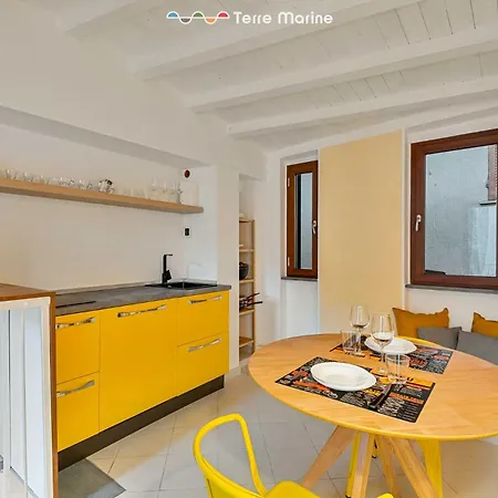 Yellow Lemon Tree, Terre Marine