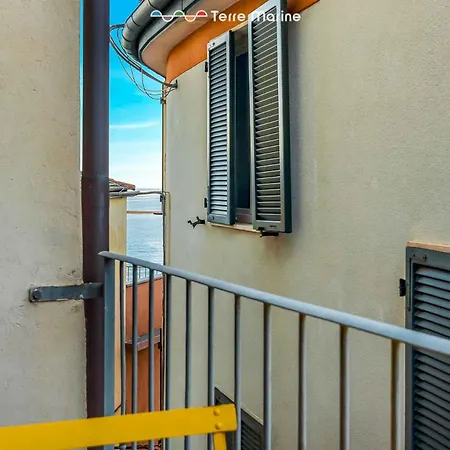 Yellow Lemon Tree, Terre Marine Apartman