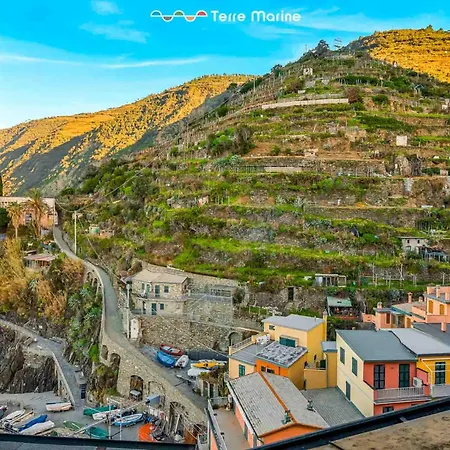 Yellow Lemon Tree, Terre Marine Manarola